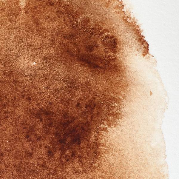 BURNT UMBER 5ML TUBE W&N pwc