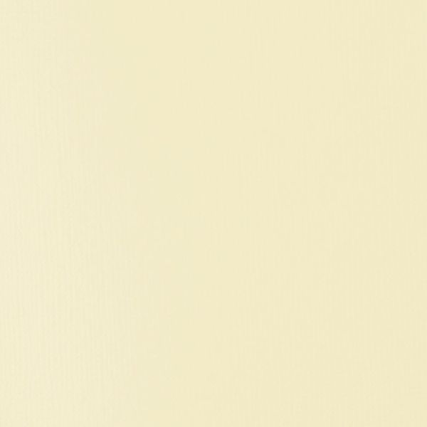 UNBLEACHED TITANIUM 118ML LQX BASICS
