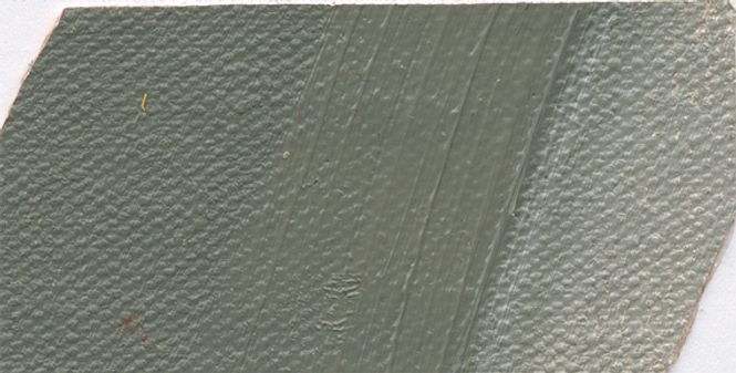 Hovedbilde Cold Grey Norma Professional 35 ml