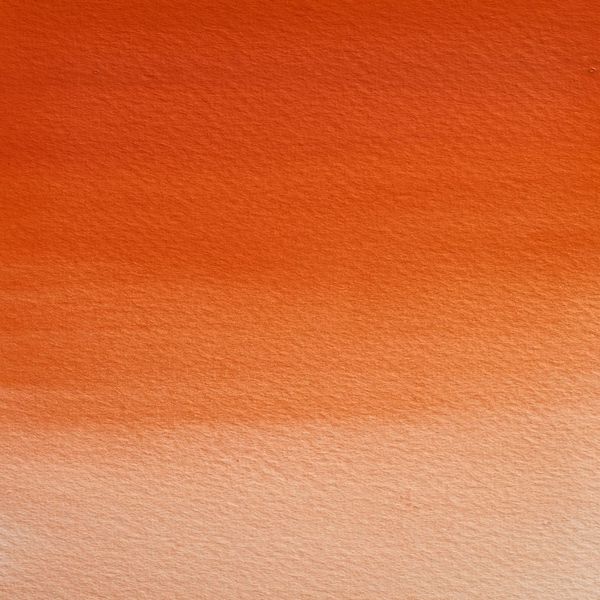 FIELD`S ORANGE 5 ML TUBE W&N pwc