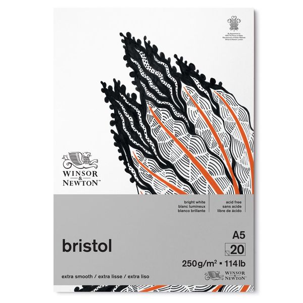W&N BRISTOL PAD 250 A5 20S