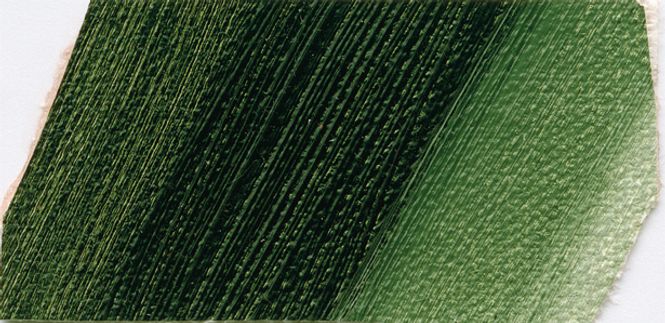 Hovedbilde Sap Green Norma Professional 120 ml