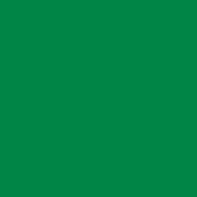 Hovedbilde LIQUITEX MARKER METALLIC GREEN