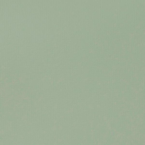 GREEN GREY 22ML LQX BASICS